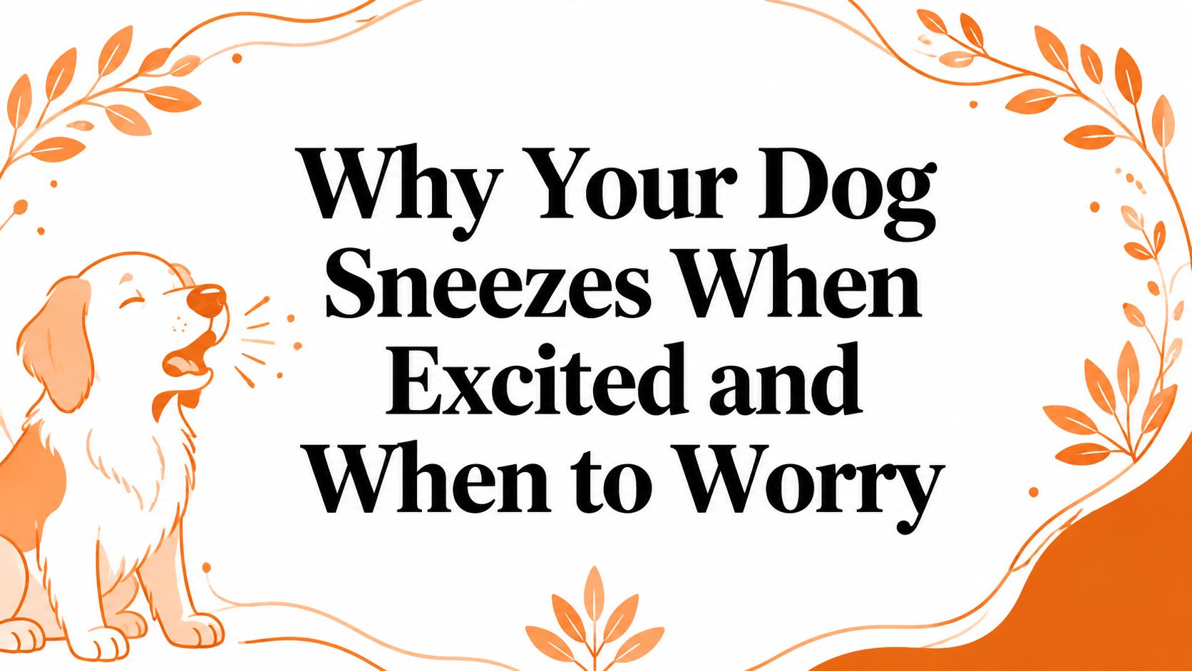 Why Your Dog Sneezes When Excited and When to Worry