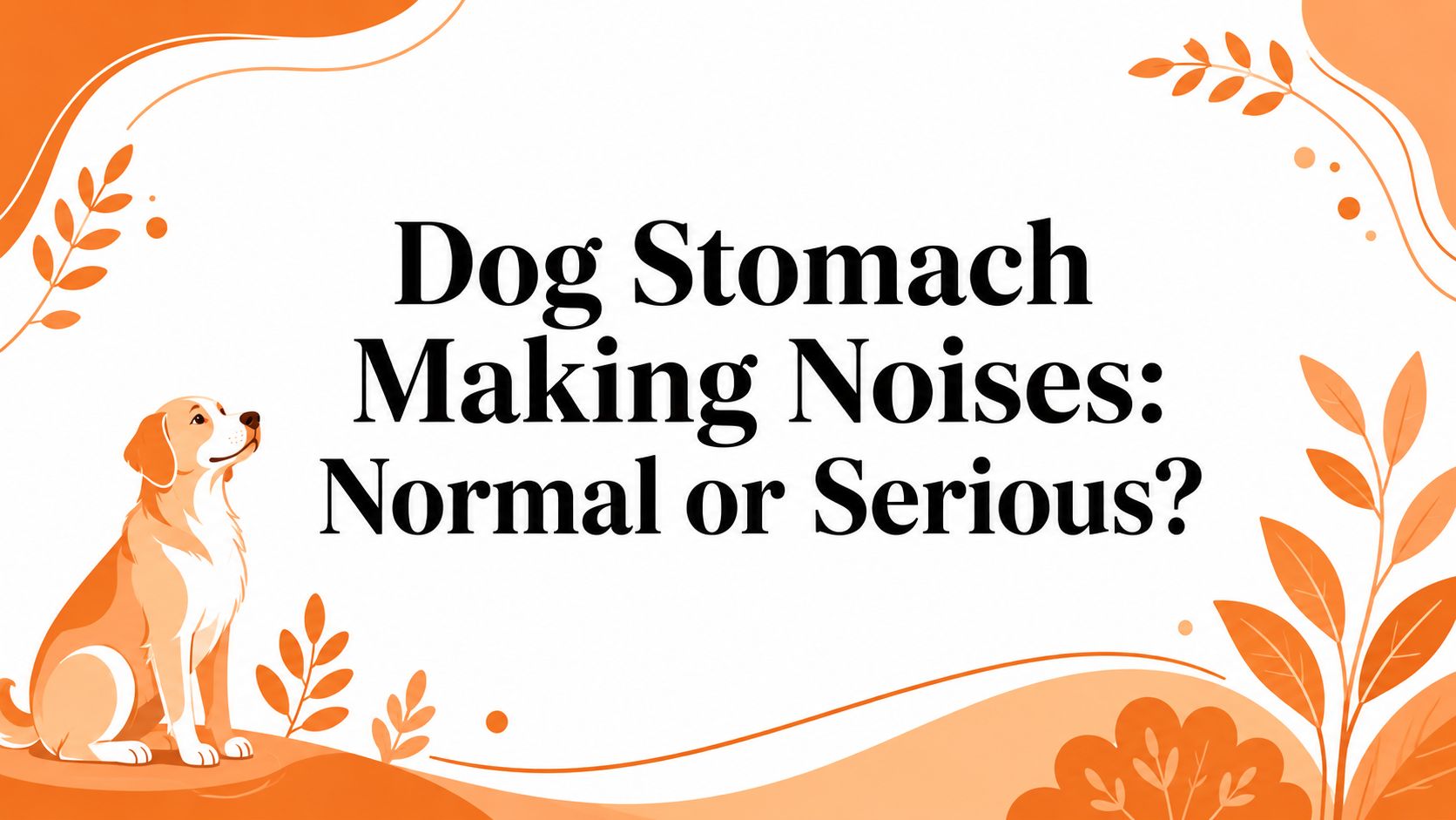 Dog Stomach Making Noises: Normal or Serious?