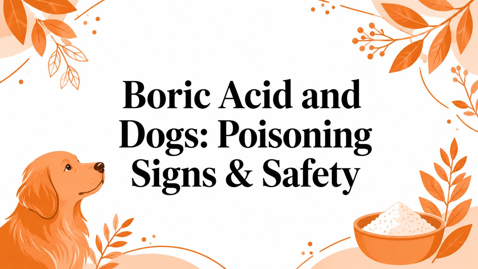 Boric Acid and Dogs: Poisoning Signs & Safety